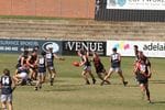 Juniors Round Six vs West Adelaide Image -572840443b6e8